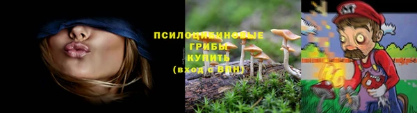 эйфоретик Горно-Алтайск
